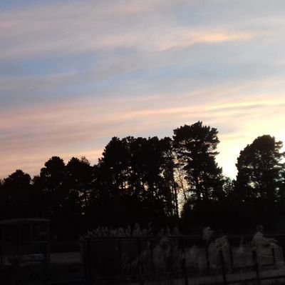 MathieuNicolas_'s profile picture. MG de campagne 
🇨🇭