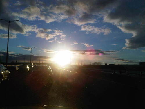 snahmad1's profile picture. 