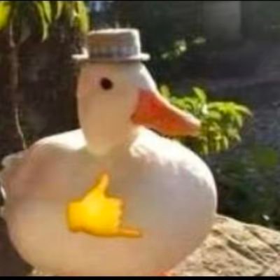 Alfha_245's profile picture. 