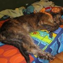 ed knight - @torin7779311 - Twitter