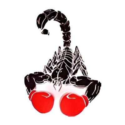 Scorpionkickbo2's profile picture. Never quit, train hard