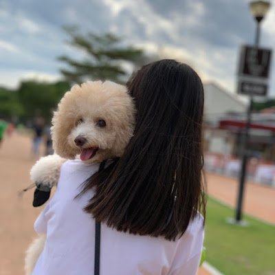 maineeew's profile picture. 