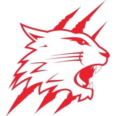 Official Twitter account of Swindon Wildcats NIHL2 Ice Hockey Club 🏒