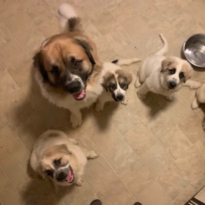 godzgift2ladiez's profile picture. 