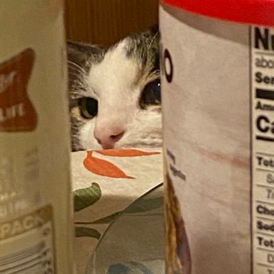 ScrimpGump's profile picture. I still hate it here