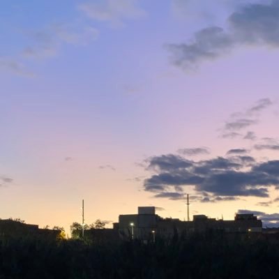 _odioatodos__'s profile picture. 