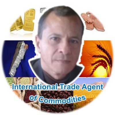Agente de Comercio Internacional Commodities