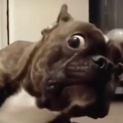 i_orosh's profile picture. 