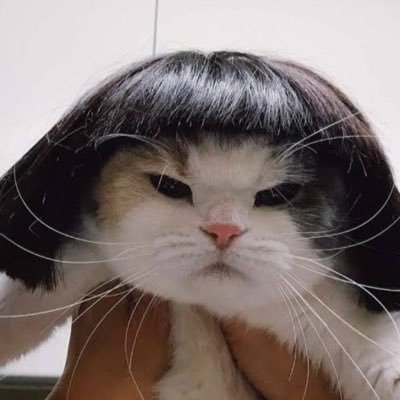 m00nkiller01's profile picture. 