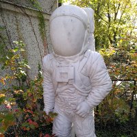 srose204 (@srose204) 's Twitter Profile