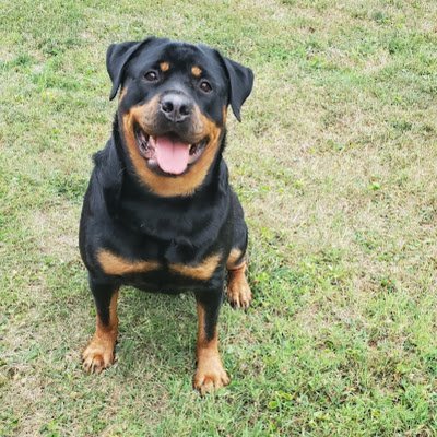 j_domek's profile picture. 