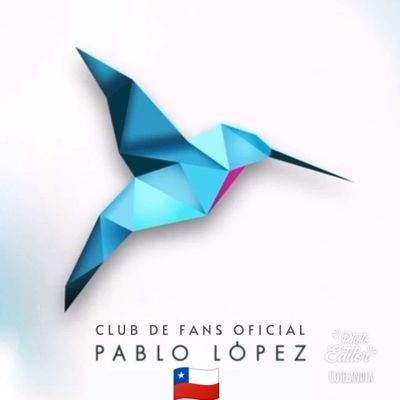 @PabloLopezMusic Seguimos tus pasos, apoyamos tu música y disfrutamos verte crecer 🙈🎹🎶
Instagram: plopezchile 
mail: pablolopezchile@gmail.com