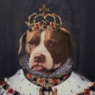 SchittCoinLLC's profile picture. 🪿