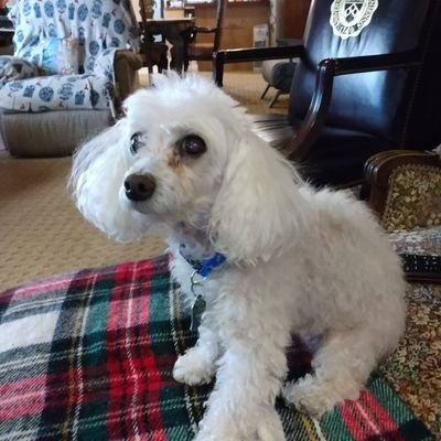 Sandcastle53's profile picture. Lived in Las Vegas for 29 yrs! Was Caregiving for my beautiful Mom! She has since passed away! Married for 45 years! Husband passed away last year.