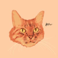 anakin lives rent free in my head (@_mitarashiko_) 's Twitter Profile