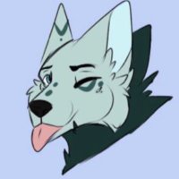 Tango (@tango_thewolf) 's Twitter Profile