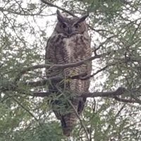 jim (@jimnynvfl) 's Twitter Profile