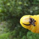 Simon Mackenzie - @ichthus2net_ibq - Twitter