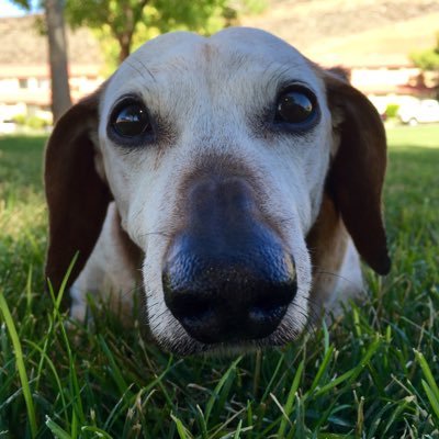 j3mendez11's profile picture. 