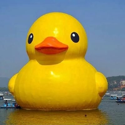 NotReallyaDuck1's profile picture. Quack