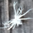 Simon Mackenzie - @ichthus2net_lph - Twitter