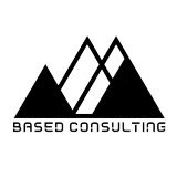 BasedConsulting.co