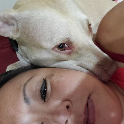 PYTheory's profile picture. 🇺🇸