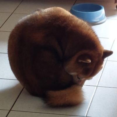 whatさんのプロフィール画像