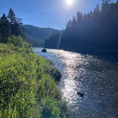 Montana_Ski_Bum's profile picture. Mountain bum. Half assed philosopher. Hobbies: books, political economy, powder skiing, messing about on rivers. Inspired by lives well lived.