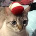 POPIS (@p0piss) Twitter profile photo POPIS (@p0piss) Twitter profile photo