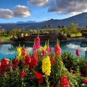 Dawn McLean - @DawnLMcLean - Twitter