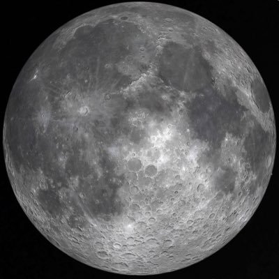 bozo_bozoh's profile picture. 