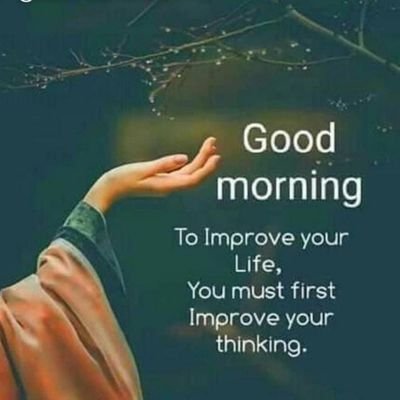 Davinde54734403's profile picture. self employed