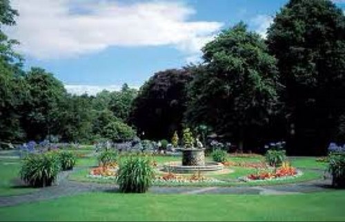 HG_Business's profile picture. Very simple: business in Harrogate