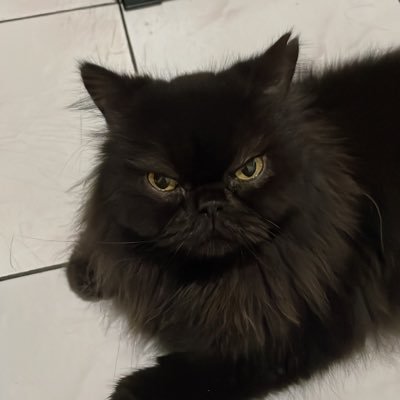 nadtto's profile picture. 「空のごとき広い心と、海のごとき深い愛を持ちますように」