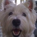 Jenny Holder - @1daisy - Twitter