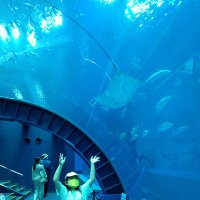 じゅじゅ (@prupru3373) 's Twitter Profile