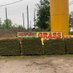 Sod Grass Pallets (@sodgrasspallets) Twitter profile photo Sod Grass Pallets (@sodgrasspallets) Twitter profile photo