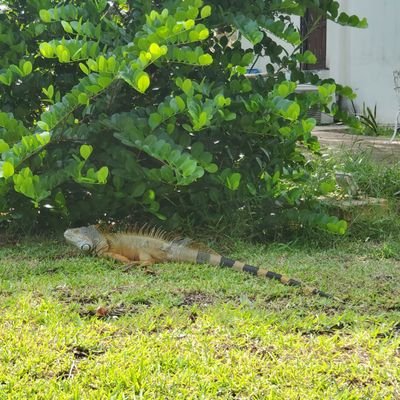 FcrRivas's profile picture. 