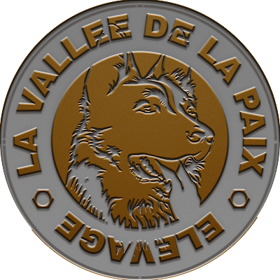 valleedelapaix's profile picture. Élevage Berger Allemand poil court et long