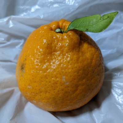 sato03300290's profile picture. 世の中銭でっせ。