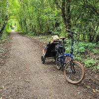 Active Travel Rotherham(@activetravroth) 's Twitter Profileg