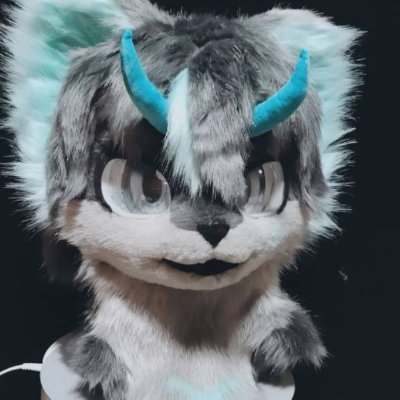Furry network for paid content,fursuiting