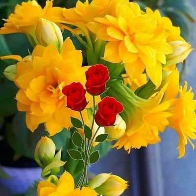 SheikhJubeda's profile picture. I am retired govt.teacher in higher secondary school,Gujarat.INDIA