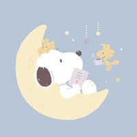 k (@k_1128_04) 's Twitter Profile
