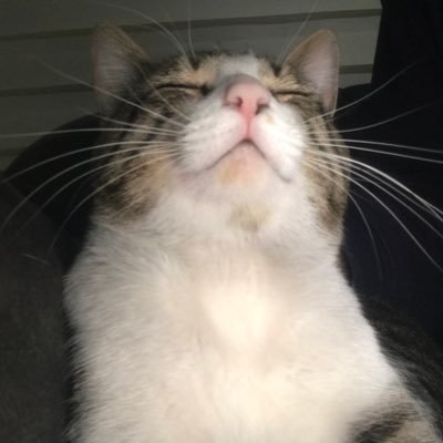 VasfiAyd's profile picture. ッ