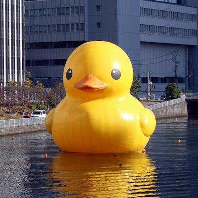 まちづくり・教育・文化などに関心あり。維新政治には強い疑問。ハラスメント・いじめ・差別にNO。