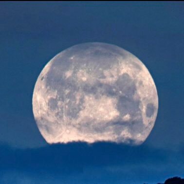 murst_oNe's profile picture. No financial advice! I just spend my time on this interesting app..