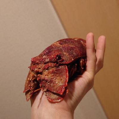 アラさんのプロフィール画像
