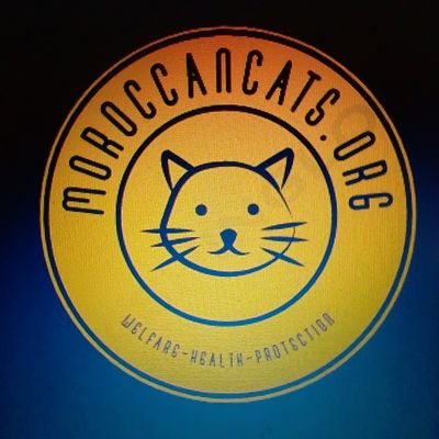 To relieve the suffering and distress of cats, kittens and feral cats by reason of neglect or poor circumstances throughout Morocco
TNVR / RABIES FREE BY  2030